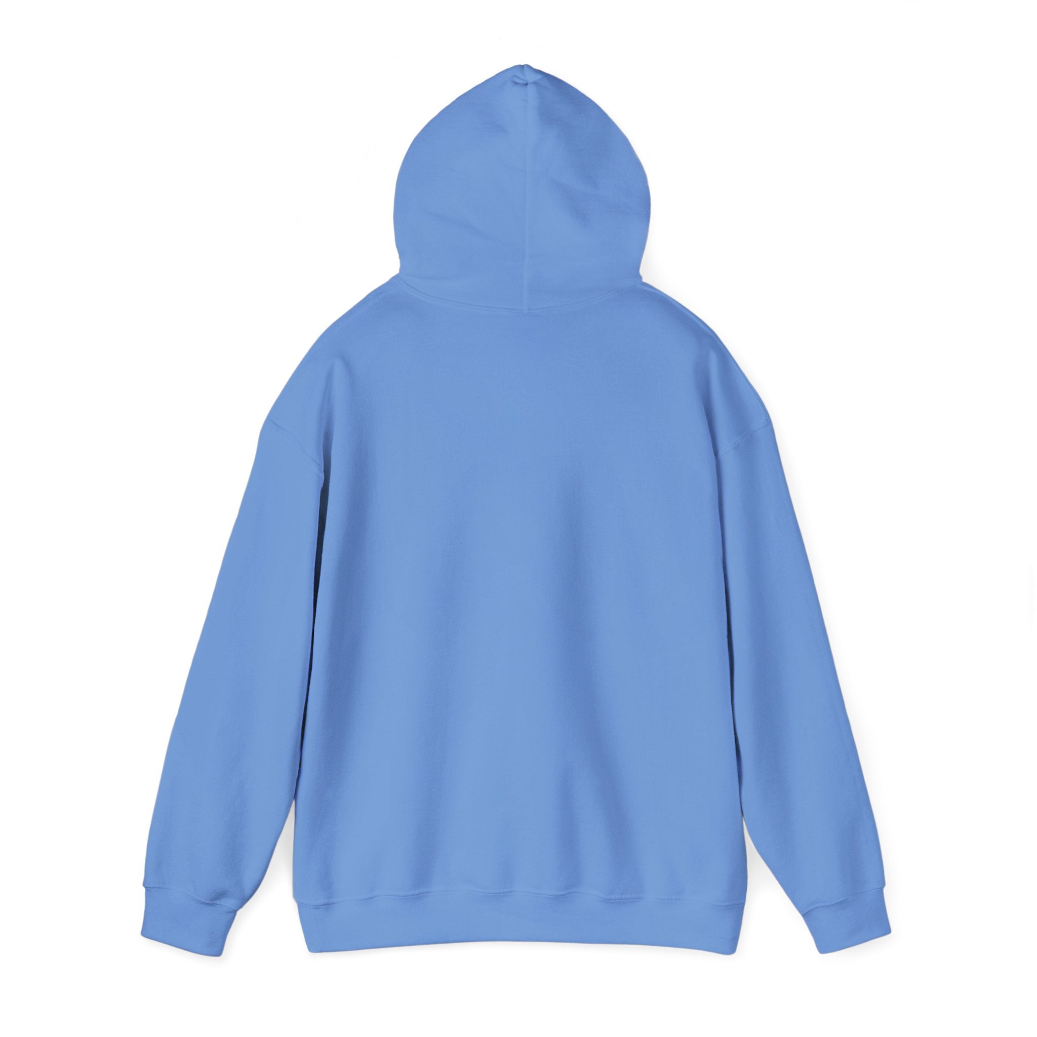 Tide & Trim Hoodie